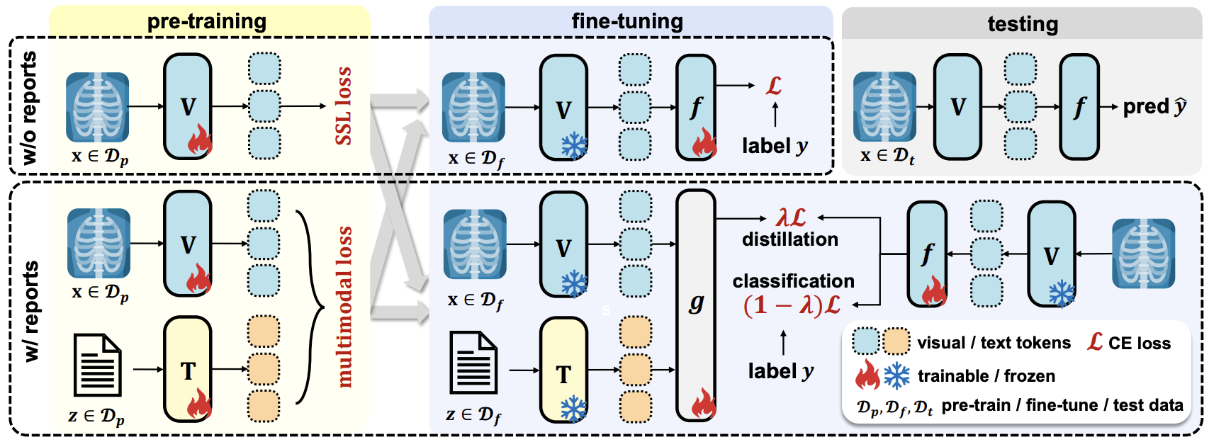 training a medical image classifier w/ or w/o reports.